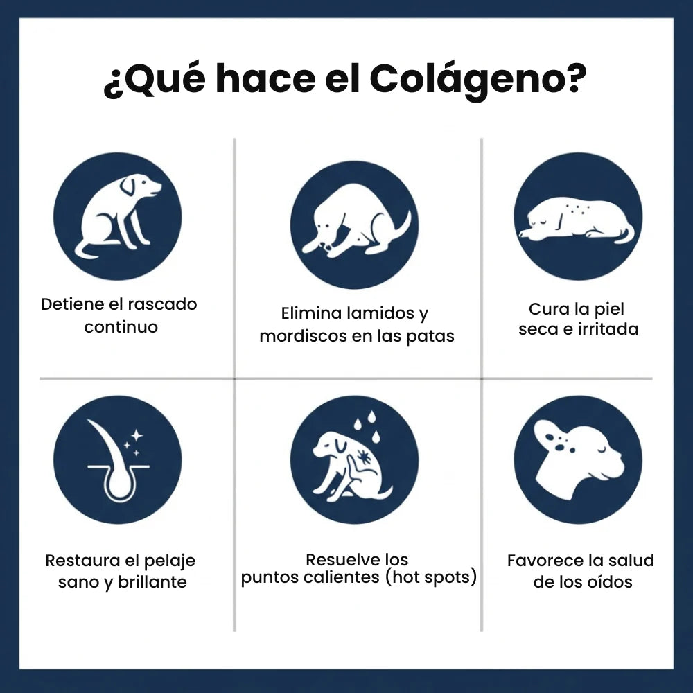 Ziora® Colágeno Líquido Premium