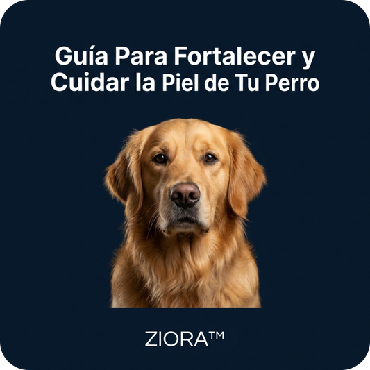 Guía Para Fortalecer y Cuidar la Piel de Tu Perro